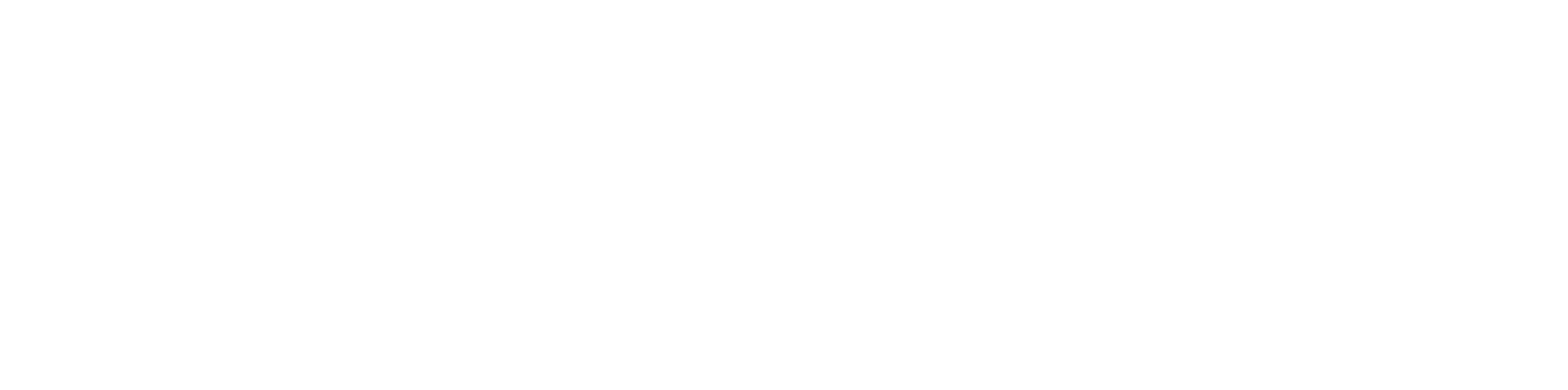 Cadonizer Logo